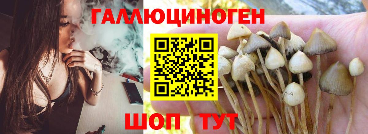Псилоцибиновые грибы ЛСД  Вход с VPN  Ликино-Дулёво  Псилоцибиновые грибы GOLDEN TEACHER 