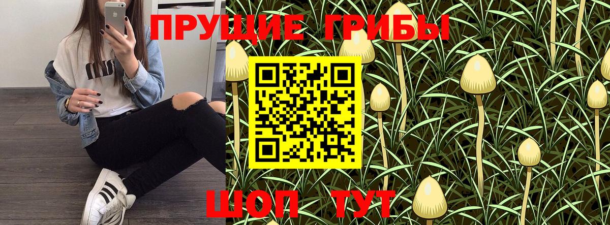 Галлюциногенные грибы GOLDEN TEACHER Ликино-Дулёво